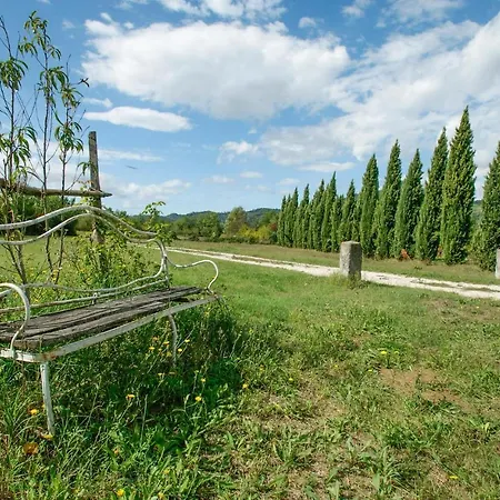 Amazing In W/ Outdoor Swimming Pool And 5 Bedrooms Brisighella