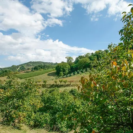 Amazing In W/ Outdoor Swimming Pool And 5 Bedrooms Feriehus Brisighella